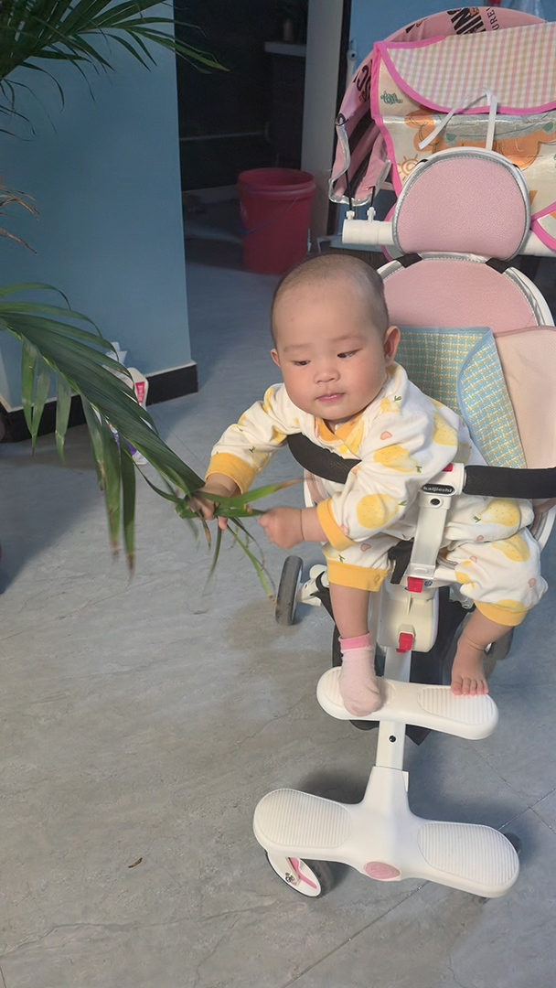 2024-11-29 16-46-12.081.jpg